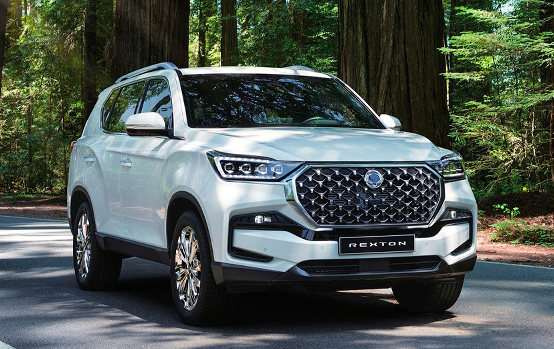 AG: предложение на { brand|capitalize }} Rexton